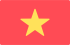 Viet Nam Flag